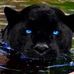 Mike Demas - Facebook
