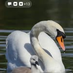 Michael Denlinger - @michael.denlinger.77 - Instagram