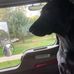 Michael Denn - Facebook