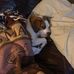 Michael DePace - Facebook
