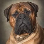 michael depolo - @michaeldepolo1447 - Instagram