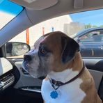 Michael Deppe - Facebook