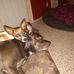 Michael Duprey - Facebook