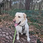 Michael Deters - @detmic1 - Instagram