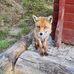 Michael Deters - Facebook
