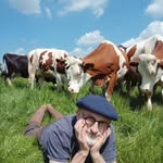 Michel Devault - @devaultmichel - Instagram