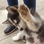 Michael Devera - @devera4030 - Instagram