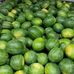 Michael Devera Seedless Watermelon - Facebook