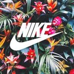 Michael DeVito - @michaeldevito19 - Instagram