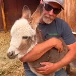 Michael DeVries - @holycowmike - Instagram