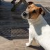 Michael Dewitte - Facebook