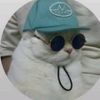 Michael Dewitte - @michael_dewitte - TikTok
