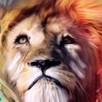 Michael Diab - @michael.diab - Instagram