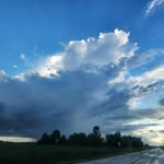 Michael Diab - @alam.albargoooteee - Instagram