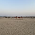 Michael Dib - Facebook
