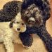 Michael DiChiaro - Facebook