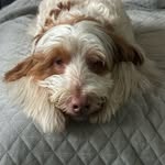 @michaeldiemidio_ - Instagram