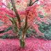 Michael Dillingham - Facebook