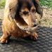 Mike Dilling - Facebook