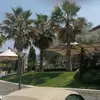 michaeldimitrov963 - @michaeldimitrov963 - TikTok