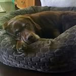 Michael Dinelli - @michael.dinelli.98 - Instagram