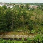 Michael Ding - @michael__ding - Instagram