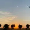 Michael.DIP10 - @michael.1000 - TikTok