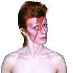 Michael Divers - @aladdinsane1001 - Instagram