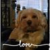 Michael G Divin - Facebook