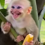 Michael Djan - @michael443457 - Instagram