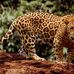 Michael Djan - Facebook