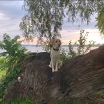 Amy Michael Dobbertin - @dobbertina - Instagram