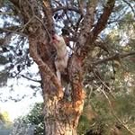 Michael Dodge - @michael.dodge.370 - Instagram