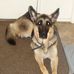 Mike Dodman - Facebook