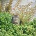 Michael Doerfler - Facebook