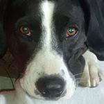 Michael Doering - @michael.doering.92 - Instagram