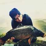 @michael_doering_the_carper - Instagram