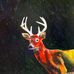 Michael Doig Art - Facebook
