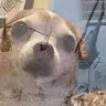 Michael Dolan - @michael_dolan - TikTok