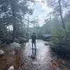 Michael Dolan - @michael._.dolan - TikTok