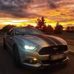 Michael Domenichini - @michael.domenichini.75 - Instagram