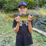 Michael Donat - @michael_donat13 - Instagram