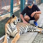 Michael Donato - @michaeldonatto - Instagram