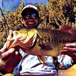 Michael Donner - @michaeldonner - Instagram