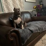 Michaeldoolin1982 - @michaeldoolin1982 - Instagram