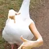 Michael Doren - @michael.doren - TikTok