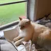 michael.dorman - @michael.dorman2 - TikTok