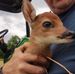 Michael Doss - Facebook