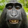 michaeldoss37 - @michaeldoss37 - TikTok