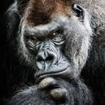 Michael Dostal - @dostal_mike - Instagram